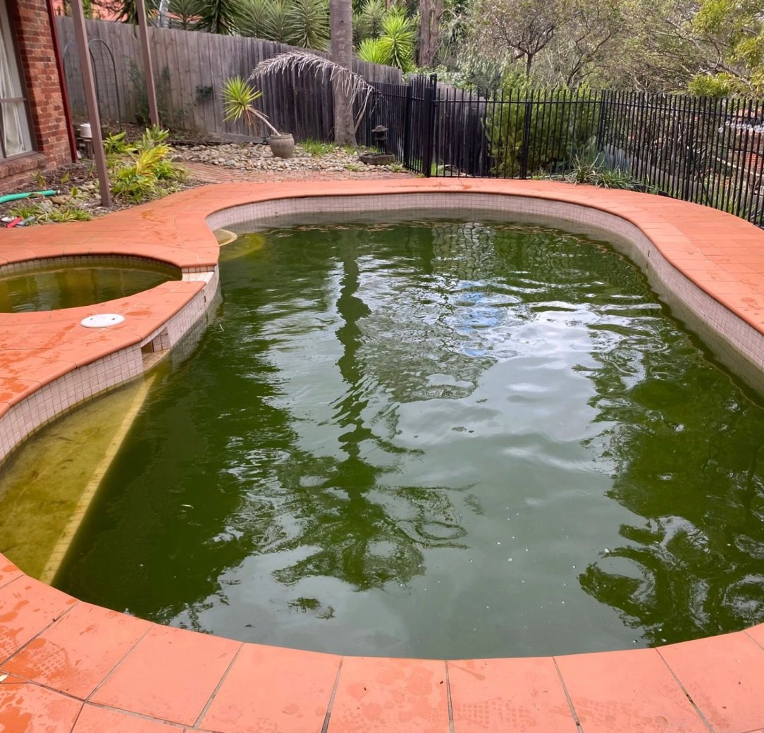 Pool before green pool recovery treatment